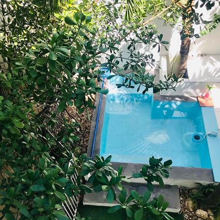Cozy Tiny Studio Acasadialexplayadelcarmen Playa del Carmen Esterno foto