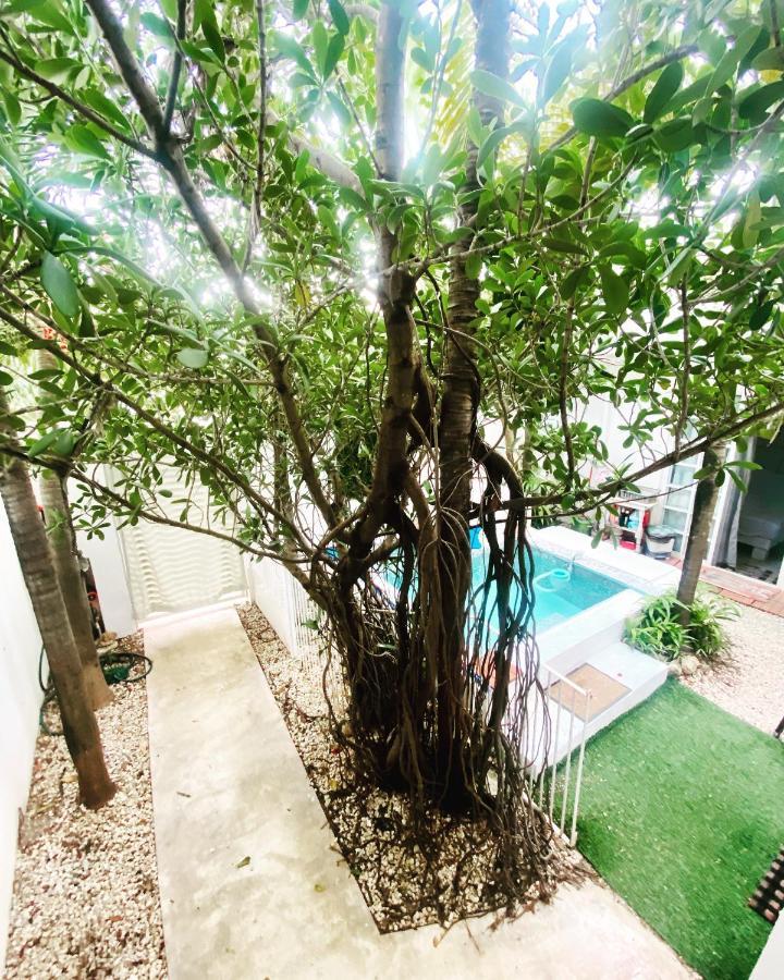 Cozy Tiny Studio Acasadialexplayadelcarmen Playa del Carmen Esterno foto