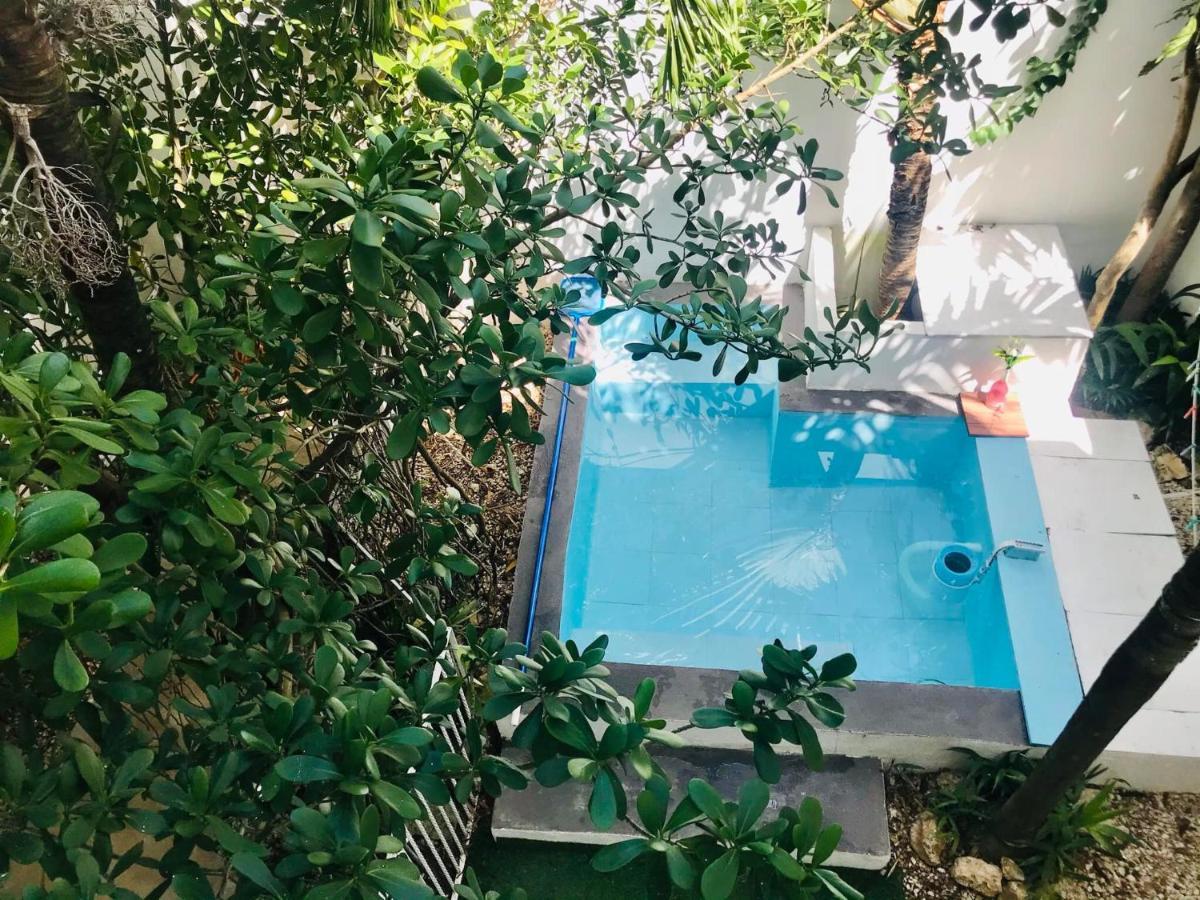 Cozy Tiny Studio Acasadialexplayadelcarmen Playa del Carmen Esterno foto